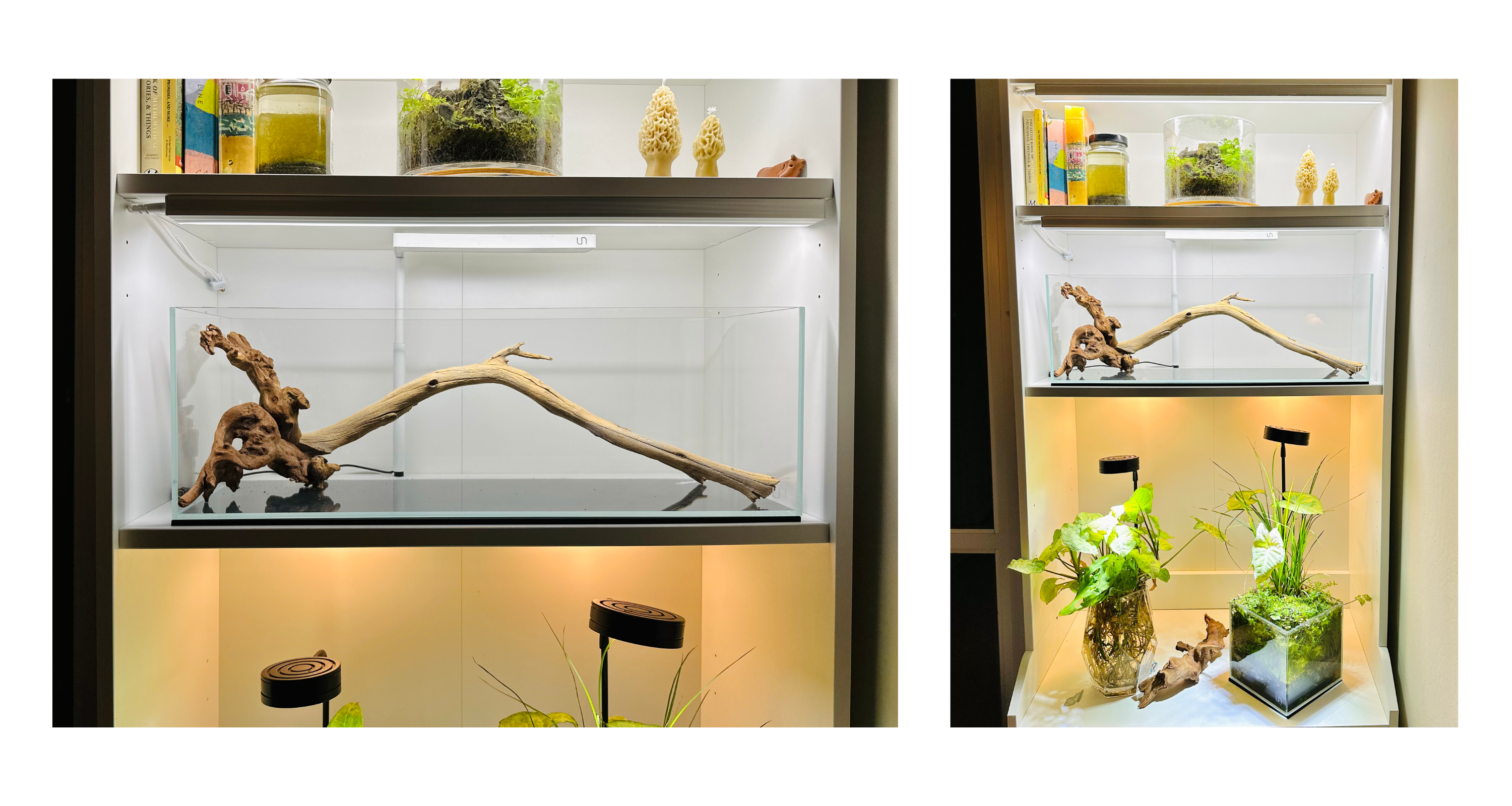  Aquariums in a bookshelf